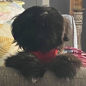 Meet your Posher, Judy